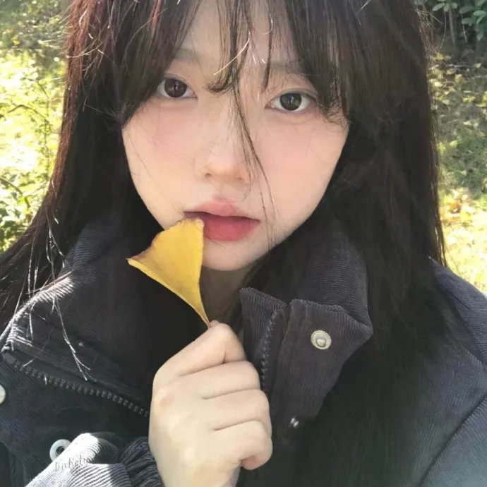 比翼双飞